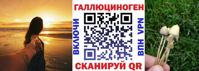 Псилоцибиновые грибы Cubensis  нарко площадка официальный сайт  Строитель 
